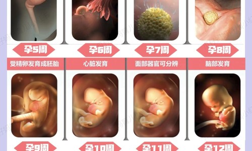 怀孕可以吃碳酸钙d3片ll专区_怀孕后能碳酸钙d3咀嚼片吃吗专区_孕妇能吃碳酸钙d3片吗网